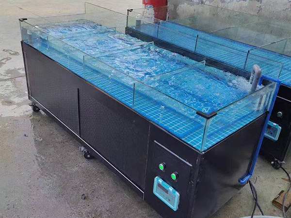 海鮮池  海鮮魚缸  酒店魚缸