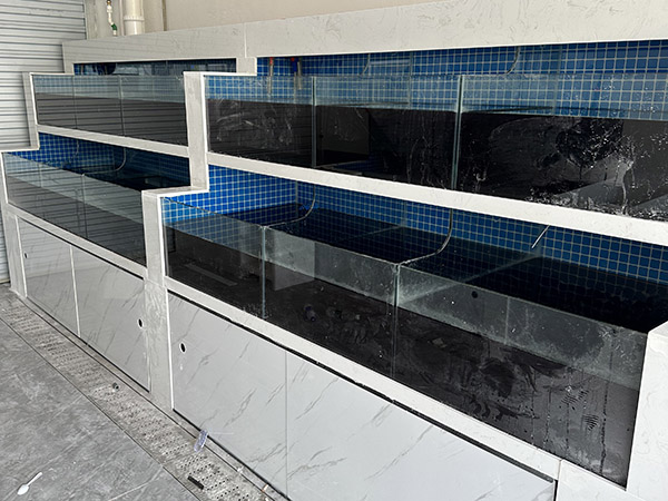 海鮮池  海鮮魚缸  酒店魚缸