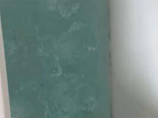 基圍蝦箱子視頻展示